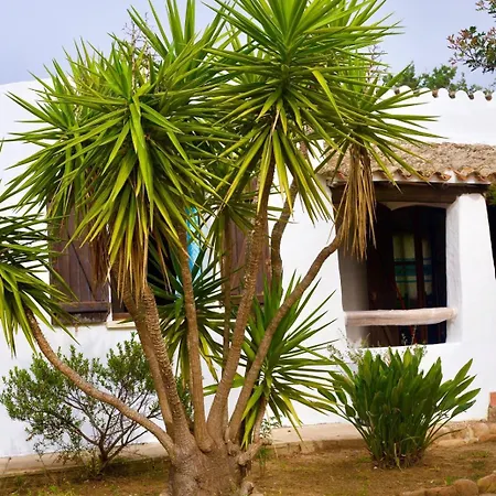 Casa Antele Vakantiehuis