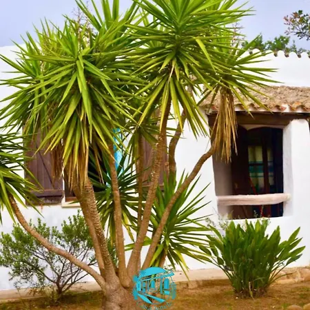 Casa Antele בית נופש